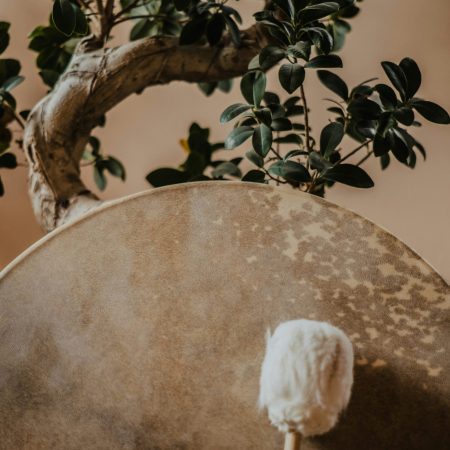 tamas-sandor-cviBBQE53dM-unsplash